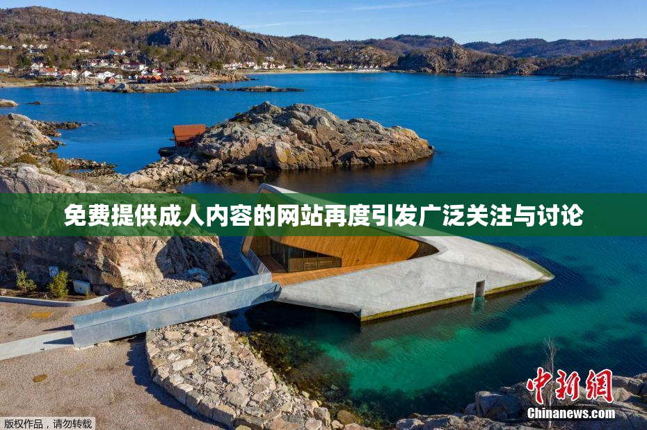 免费提供成人内容的网站再度引发广泛关注与讨论