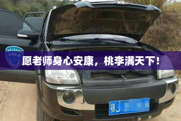 愿老师身心安康，桃李满天下！