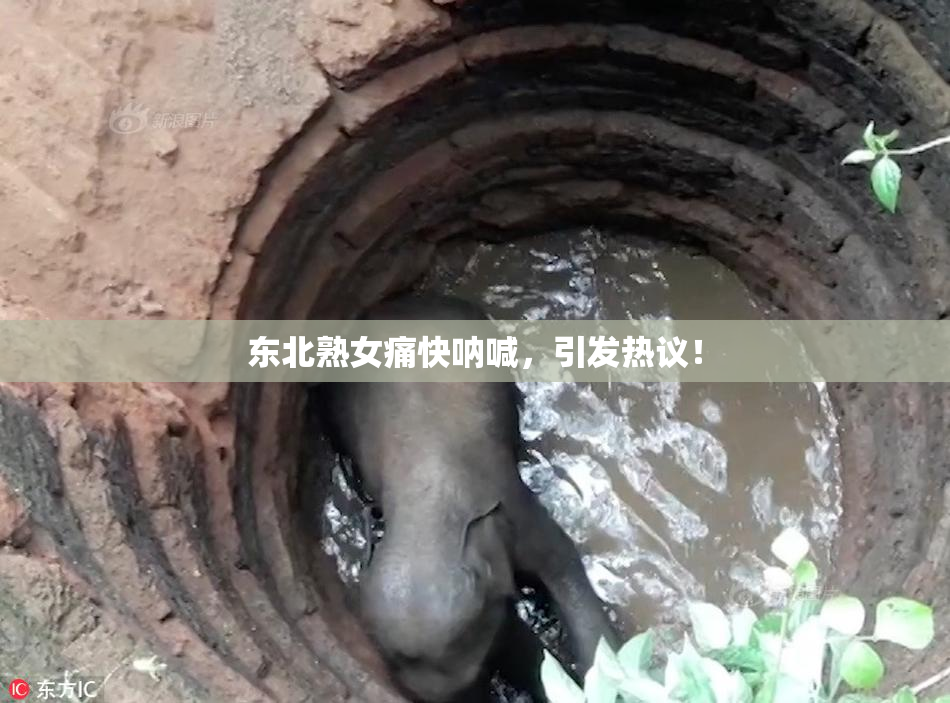 东北熟女痛快呐喊，引发热议！