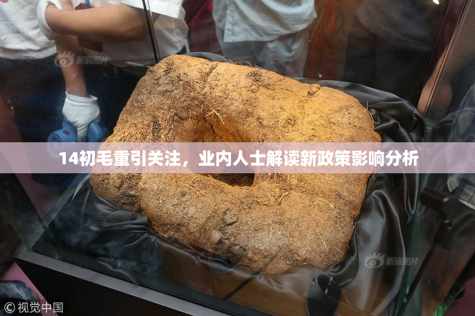 14初毛重引关注，业内人士解读新政策影响分析