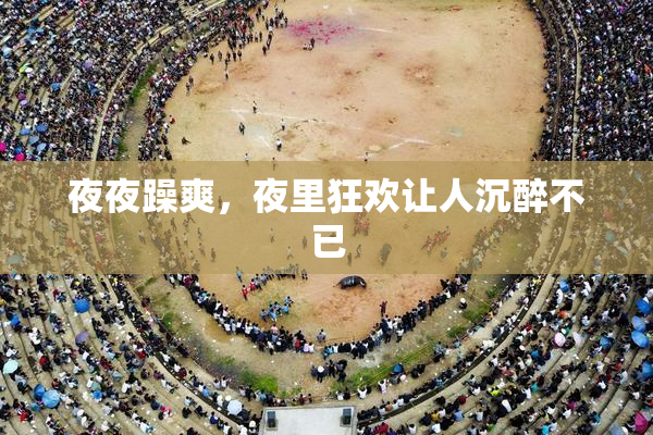 夜夜躁爽，夜里狂欢让人沉醉不已