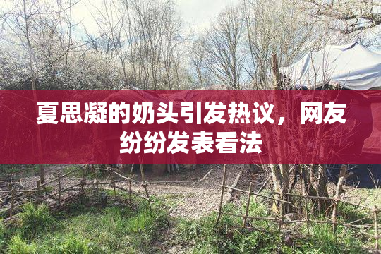 夏思凝的奶头引发热议，网友纷纷发表看法