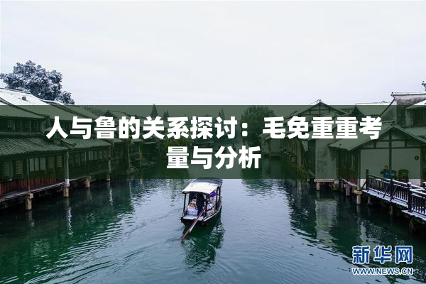 人与鲁的关系探讨：毛免重重考量与分析