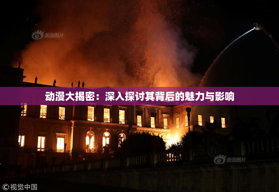 动漫大揭密：深入探讨其背后的魅力与影响