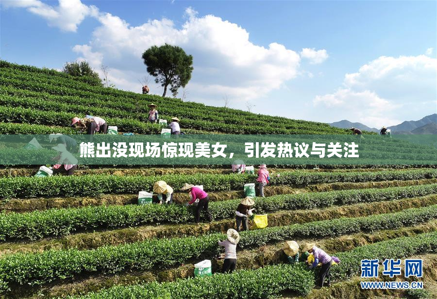 熊出没现场惊现美女，引发热议与关注
