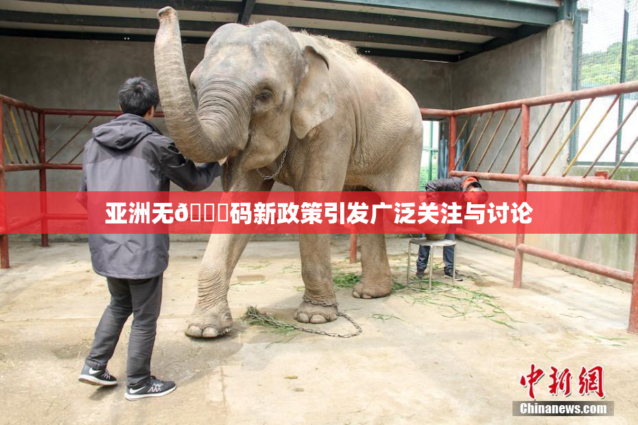 亚洲无🈚码新政策引发广泛关注与讨论