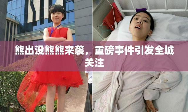 熊出没熊熊来袭，重磅事件引发全城关注