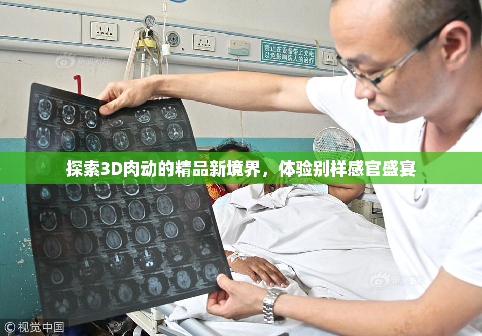 探索3D肉动的精品新境界，体验别样感官盛宴