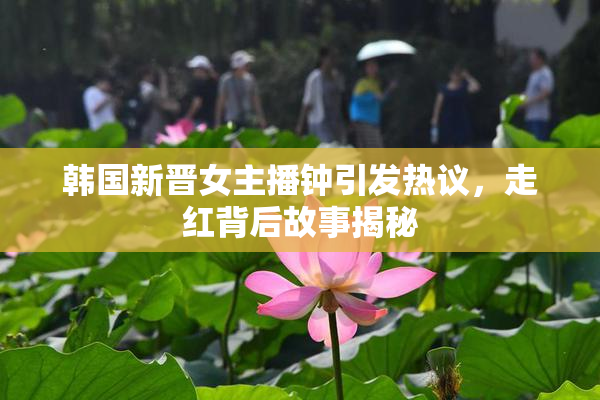 韩国新晋女主播钟引发热议，走红背后故事揭秘