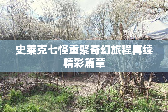 史莱克七怪重聚奇幻旅程再续精彩篇章