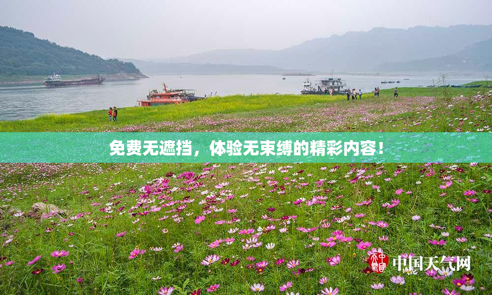 免费无遮挡，体验无束缚的精彩内容！