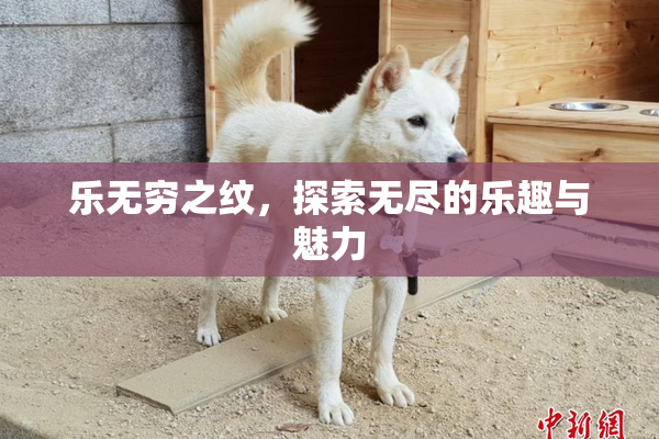 乐无穷之纹，探索无尽的乐趣与魅力