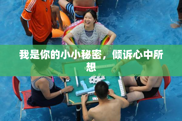 我是你的小小秘密，倾诉心中所想
