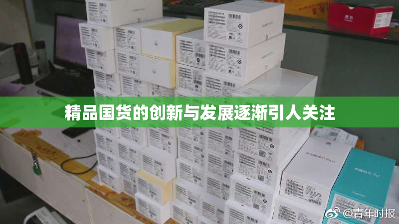 精品国货的创新与发展逐渐引人关注
