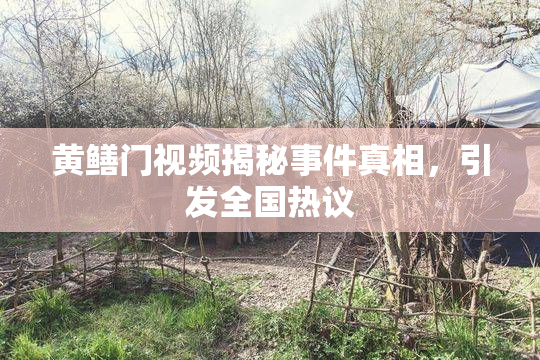 黄鳝门视频揭秘事件真相，引发全国热议