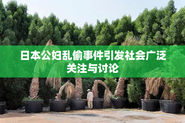 日本公妇乱偷事件引发社会广泛关注与讨论