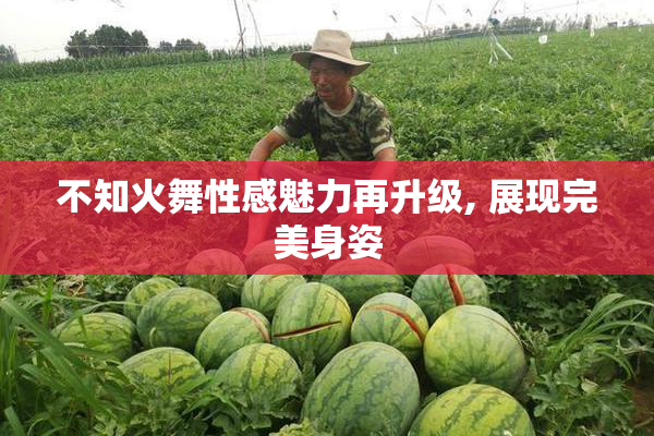 不知火舞性感魅力再升级, 展现完美身姿