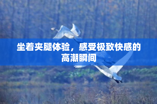 坐着夹腿体验，感受极致快感的高潮瞬间