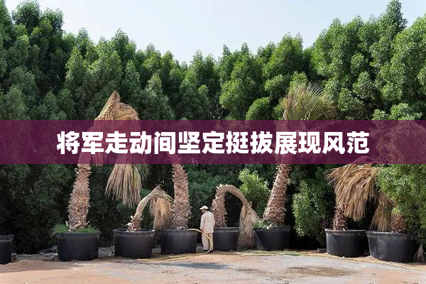 将军走动间坚定挺拔展现风范