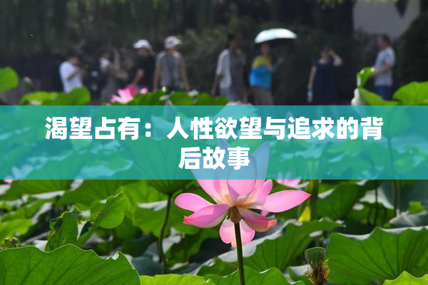 渴望占有：人性欲望与追求的背后故事