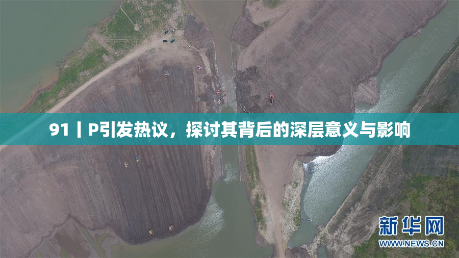 91丨P引发热议，探讨其背后的深层意义与影响