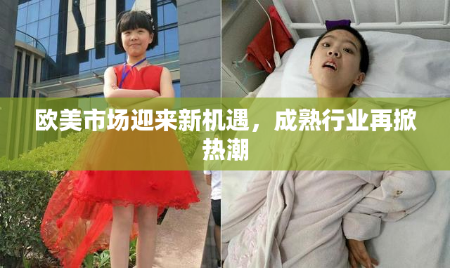 欧美市场迎来新机遇，成熟行业再掀热潮
