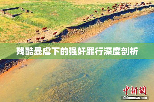 残酷暴虐下的强奸罪行深度剖析