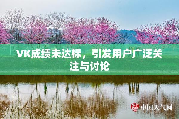 VK成绩未达标，引发用户广泛关注与讨论