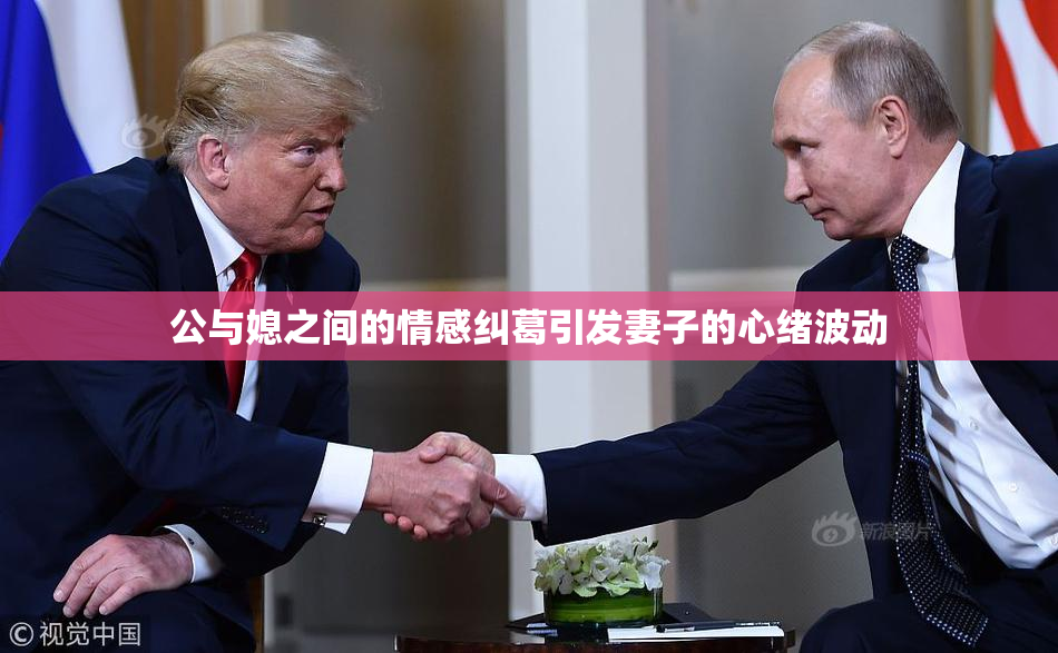公与媳之间的情感纠葛引发妻子的心绪波动