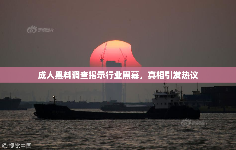 成人黑料调查揭示行业黑幕，真相引发热议