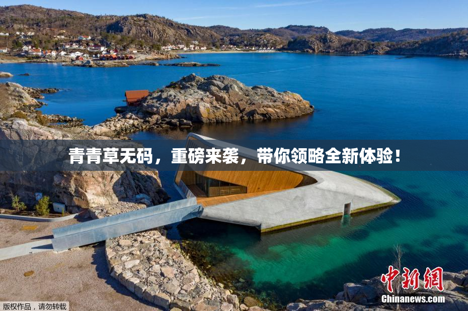 青青草无码，重磅来袭，带你领略全新体验！