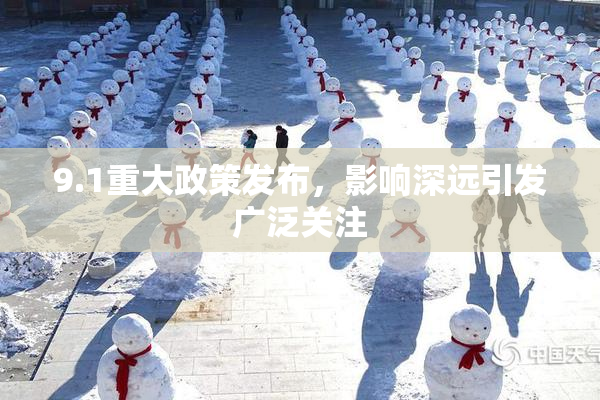 9.1重大政策发布，影响深远引发广泛关注