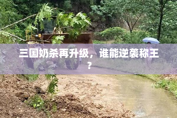 三国奶杀再升级，谁能逆袭称王？