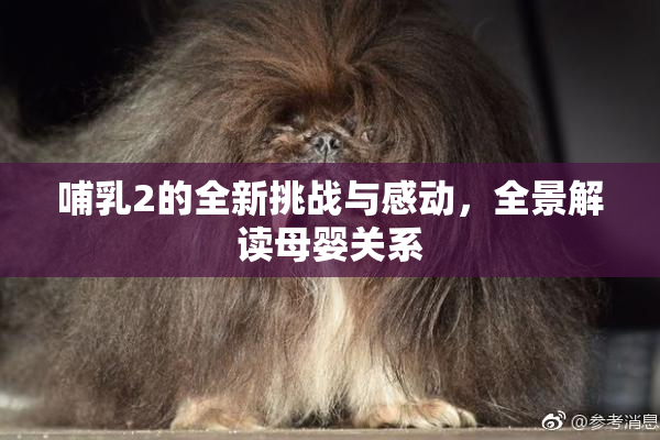哺乳2的全新挑战与感动，全景解读母婴关系