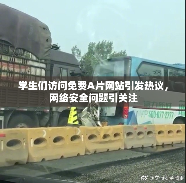 学生们访问免费A片网站引发热议，网络安全问题引关注