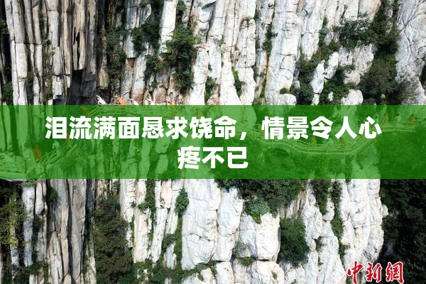 泪流满面恳求饶命，情景令人心疼不已
