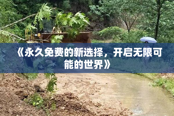《永久免费的新选择，开启无限可能的世界》
