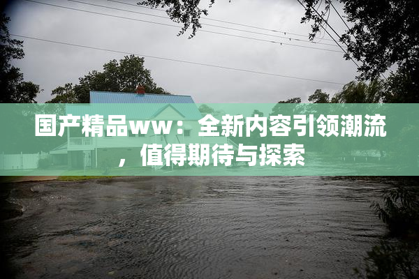 国产精品ww：全新内容引领潮流，值得期待与探索