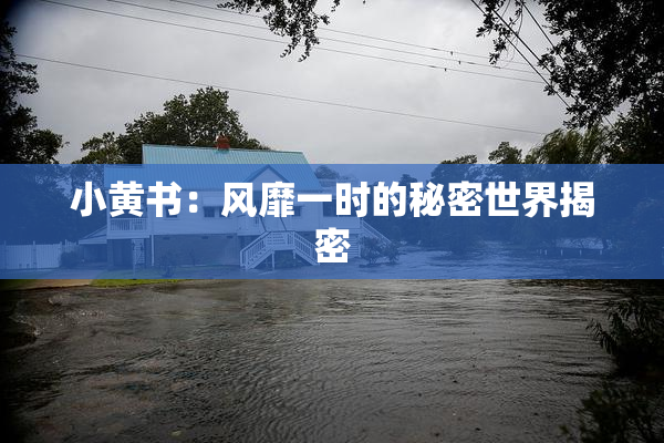 小黄书：风靡一时的秘密世界揭密
