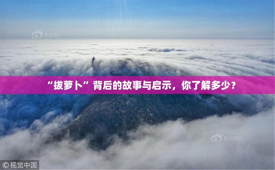 “拔萝卜”背后的故事与启示，你了解多少？