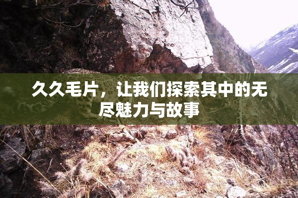 久久毛片，让我们探索其中的无尽魅力与故事