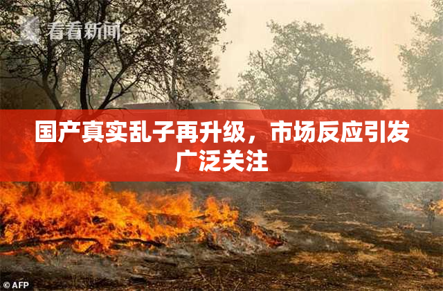 国产真实乱子再升级，市场反应引发广泛关注