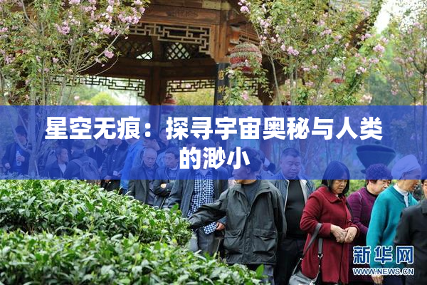星空无痕：探寻宇宙奥秘与人类的渺小