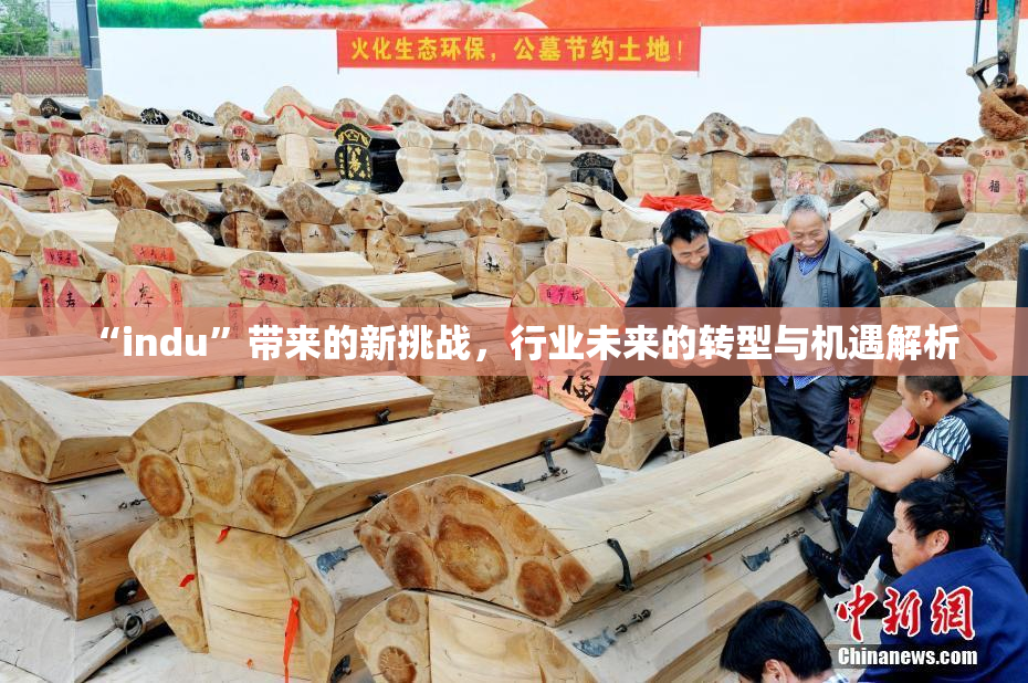 “indu”带来的新挑战，行业未来的转型与机遇解析