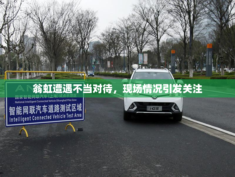 翁虹遭遇不当对待，现场情况引发关注