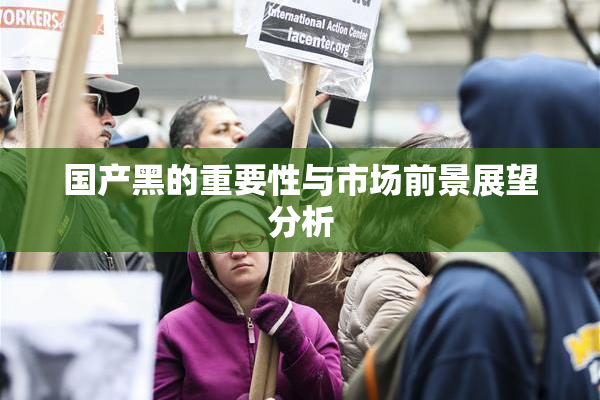 国产黑的重要性与市场前景展望分析