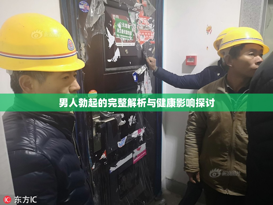 男人勃起的完整解析与健康影响探讨