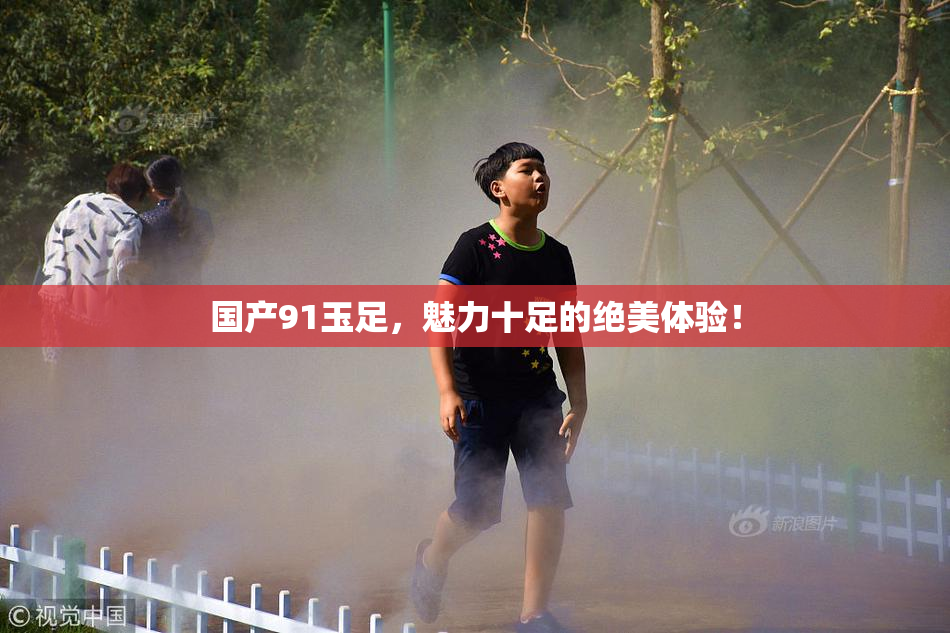 国产91玉足，魅力十足的绝美体验！