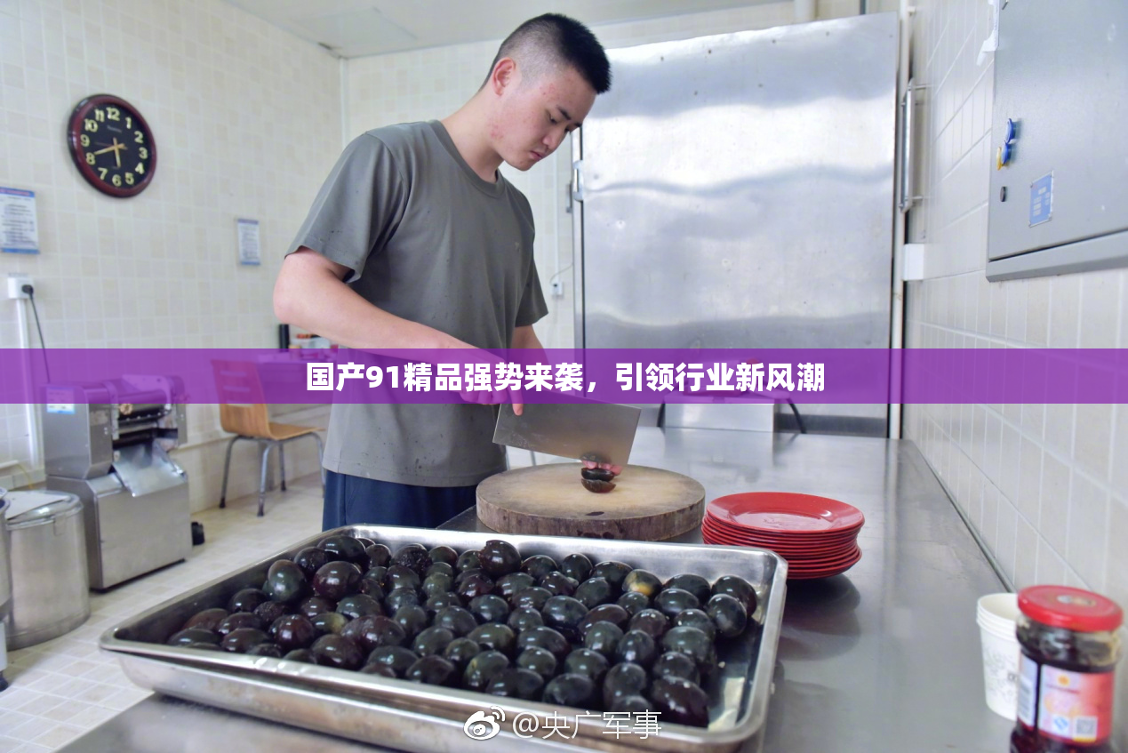 国产91精品强势来袭，引领行业新风潮