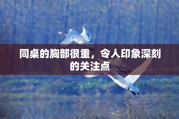同桌的胸部很重，令人印象深刻的关注点